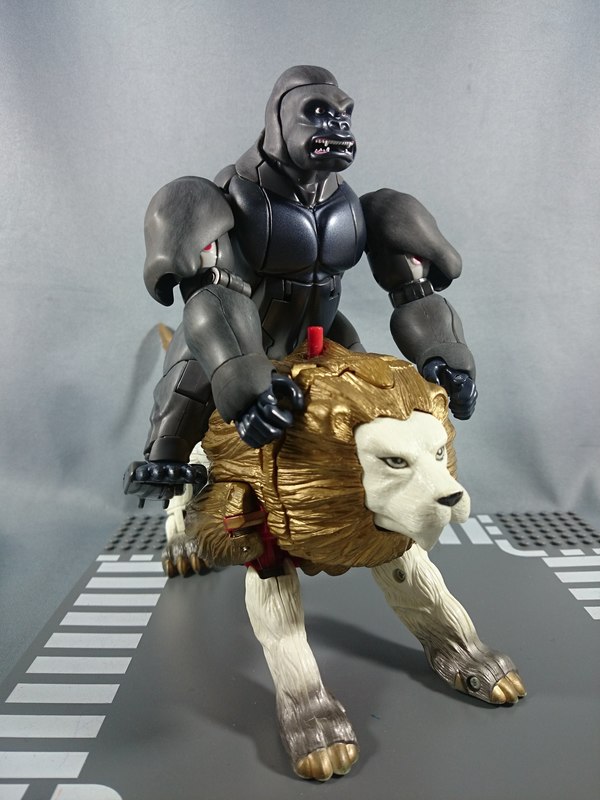 Masterpiece MP 32 Optimus Primal First In Hand Photos 02 (2 of 12)